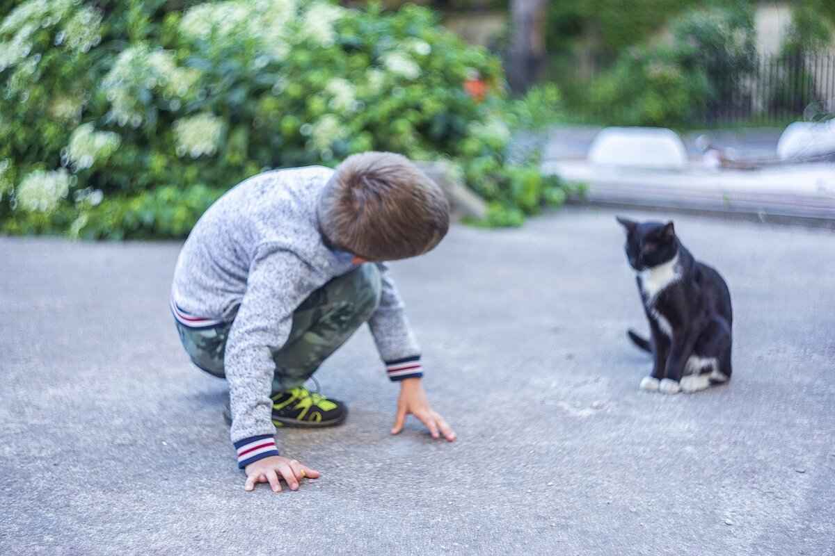 Who Was Pat Tillman?