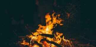 Marshall the Fire Pup: Everything You Need to Know Marshall the Fire Pup: Everything You Need to Know