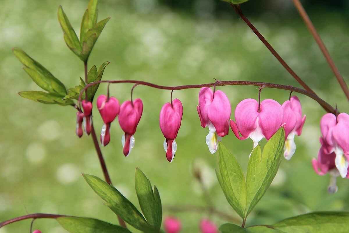 What Makes Mary Burke Stand Out on OnlyFans?