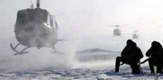 Maschiff Pokémon: Evolution, Best Moveset, and Battle Tactics Maschiff Pokémon: Evolution, Best Moveset, and Battle Tactics