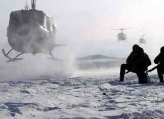 Maschiff Pokémon: Evolution, Best Moveset, and Battle Tactics Maschiff Pokémon: Evolution, Best Moveset, and Battle Tactics