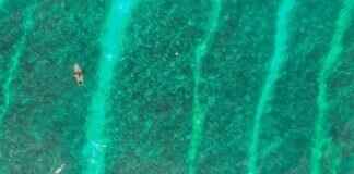 Master Subway Surfers with These Top Tips Master Subway Surfers with These Top Tips