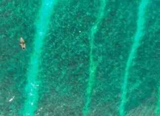 Master Subway Surfers with These Top Tips Master Subway Surfers with These Top Tips