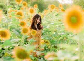 Maximizing Relaxation: The Science Behind Asian Massages Maximizing Relaxation: The Science Behind Asian Massages