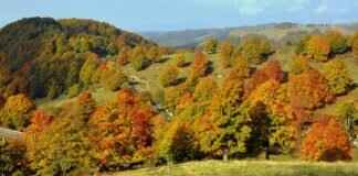 Mazda CX-5 Windshield Wipers: Best Replacement Options Mazda CX-5 Windshield Wipers: Best Replacement Options