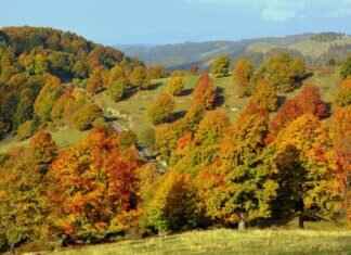 Mazda CX-5 Windshield Wipers: Best Replacement Options Mazda CX-5 Windshield Wipers: Best Replacement Options