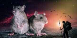 Mckinley Richardson – Mckinley Richardson’s Internet Fame & OnlyFans Journey & OnlyFans Leaks Mckinley Richardson – Mckinley Richardson’s Internet Fame & OnlyFans Journey & OnlyFans Leaks