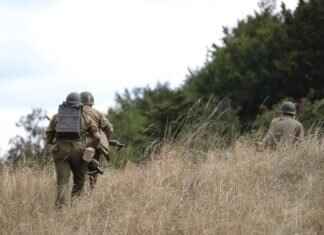 Meloetta Pokémon: Evolution, Best Moves, and Battle Tactics Meloetta Pokémon: Evolution, Best Moves, and Battle Tactics