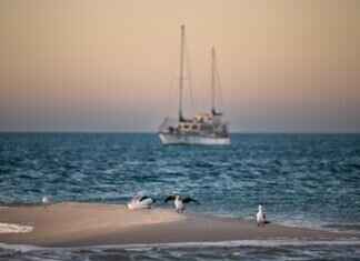 Mia Khalifa – Mia Khalifa’s Transformation: From Adult Star to OnlyFans Icon & OnlyFans Leaks Mia Khalifa – Mia Khalifa’s Transformation: From Adult Star to OnlyFans Icon & OnlyFans Leaks