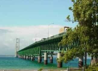 Michigan State Hat: Best Styles for Spartans Fans Michigan State Hat: Best Styles for Spartans Fans