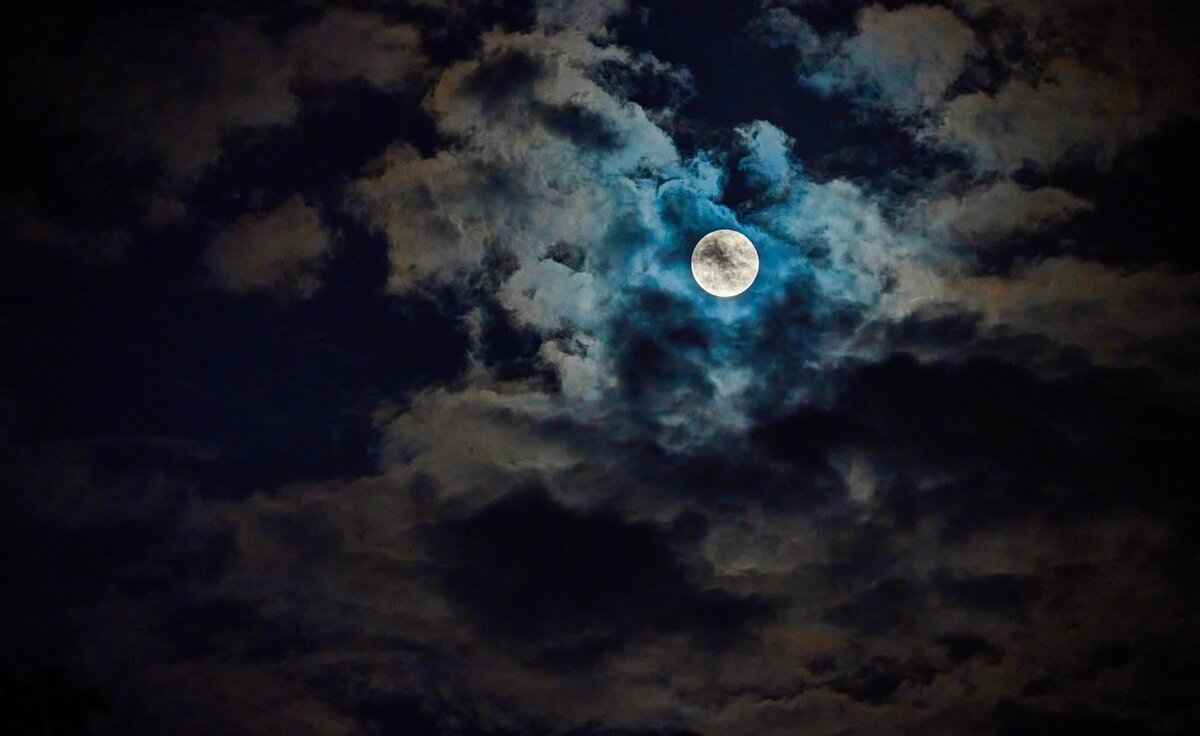 Harvest Celebrations and Gratitude