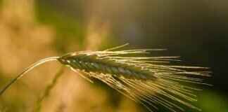 Mike’s Happy Hour: The Best Deals & Drinks to Try Mike’s Happy Hour: The Best Deals & Drinks to Try