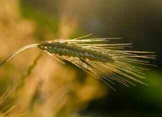 Mike’s Happy Hour: The Best Deals & Drinks to Try Mike’s Happy Hour: The Best Deals & Drinks to Try