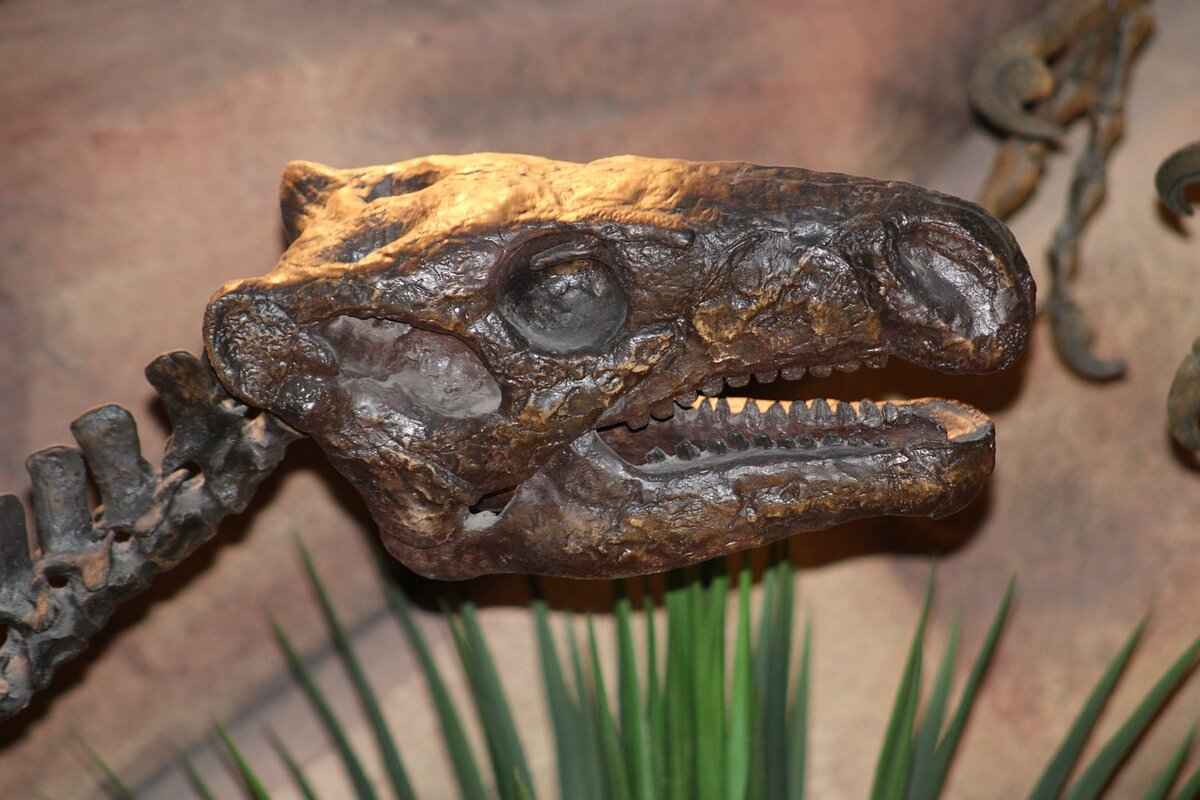 Evolution Tips for Milcery