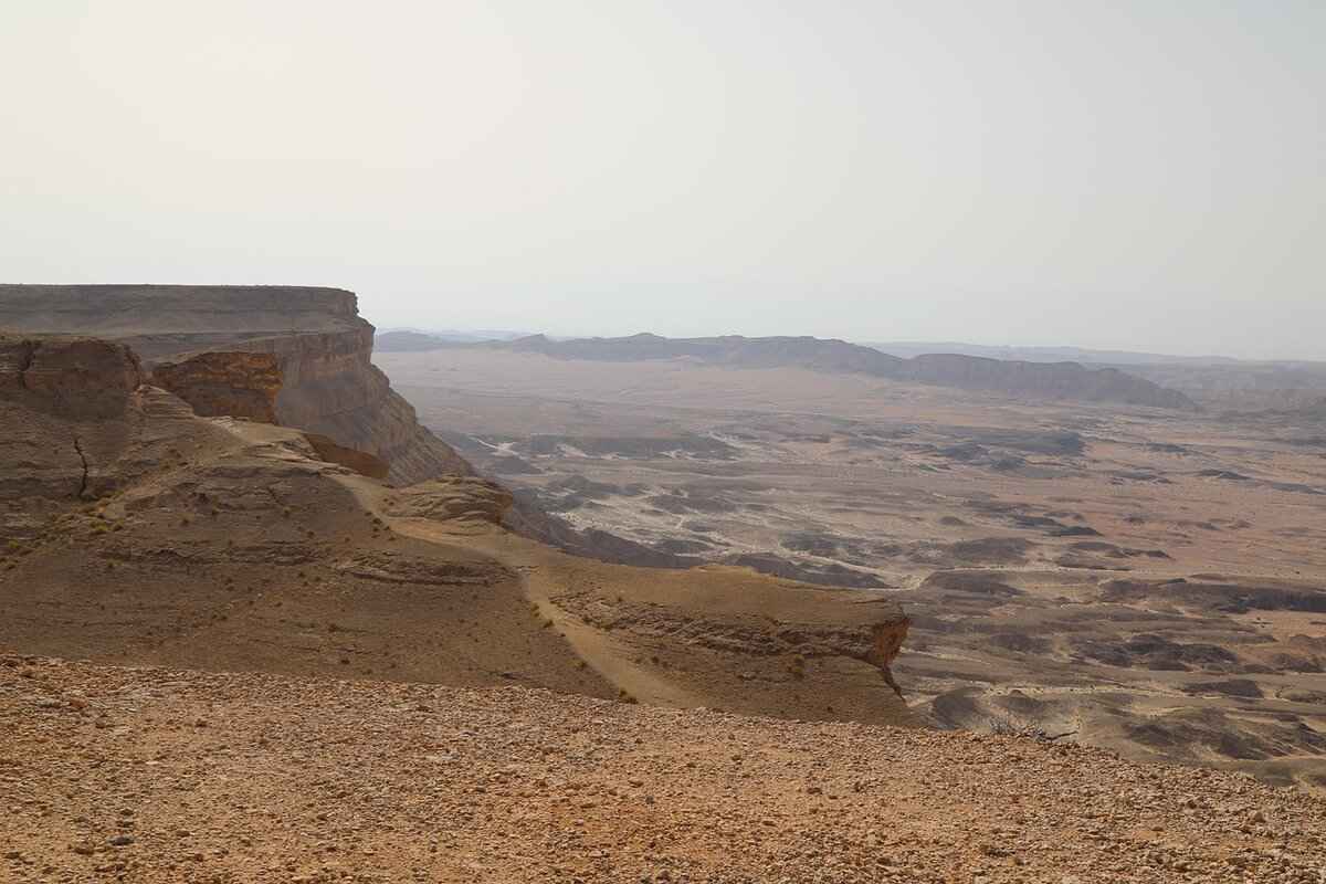 Who Are the Contestants in Miss Palestine?