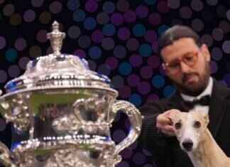 Miuccia the Whippet: Best in Show at Crufts miuccia-the-whippet-best-in-show-at-crufts