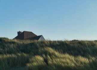 Modern Beach House Designs That Will Leave You Speechless Modern Beach House Designs That Will Leave You Speechless