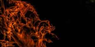 Monferno Pokémon Features, Abilities, Strengths, Weaknesses, and Best Battle Strategies Monferno Pokémon Features, Abilities, Strengths, Weaknesses, and Best Battle Strategies