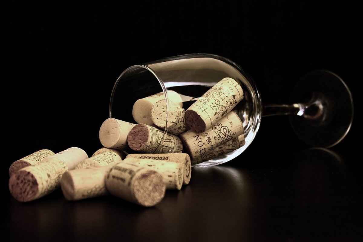 Moon X Wine: Tasting Notes & Best Food Pairings 5 Are There Any Notable Regions for Moon X Wine?
