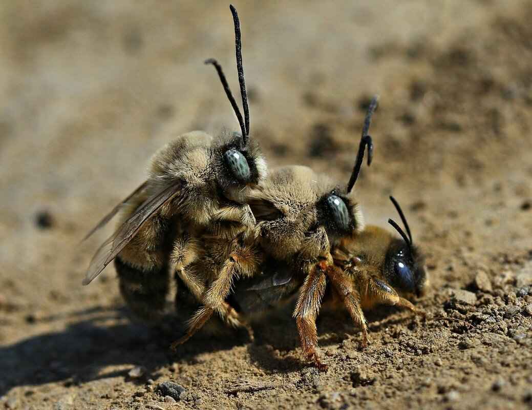 Moon X Wine: Tasting Notes & Best Food Pairings 4 What Food Pairings Complement Moon X Wine?