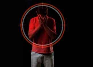 Morpeko Pokémon: Best Moveset, Strengths, and How to Use It in Battle Morpeko Pokémon: Best Moveset, Strengths, and How to Use It in Battle