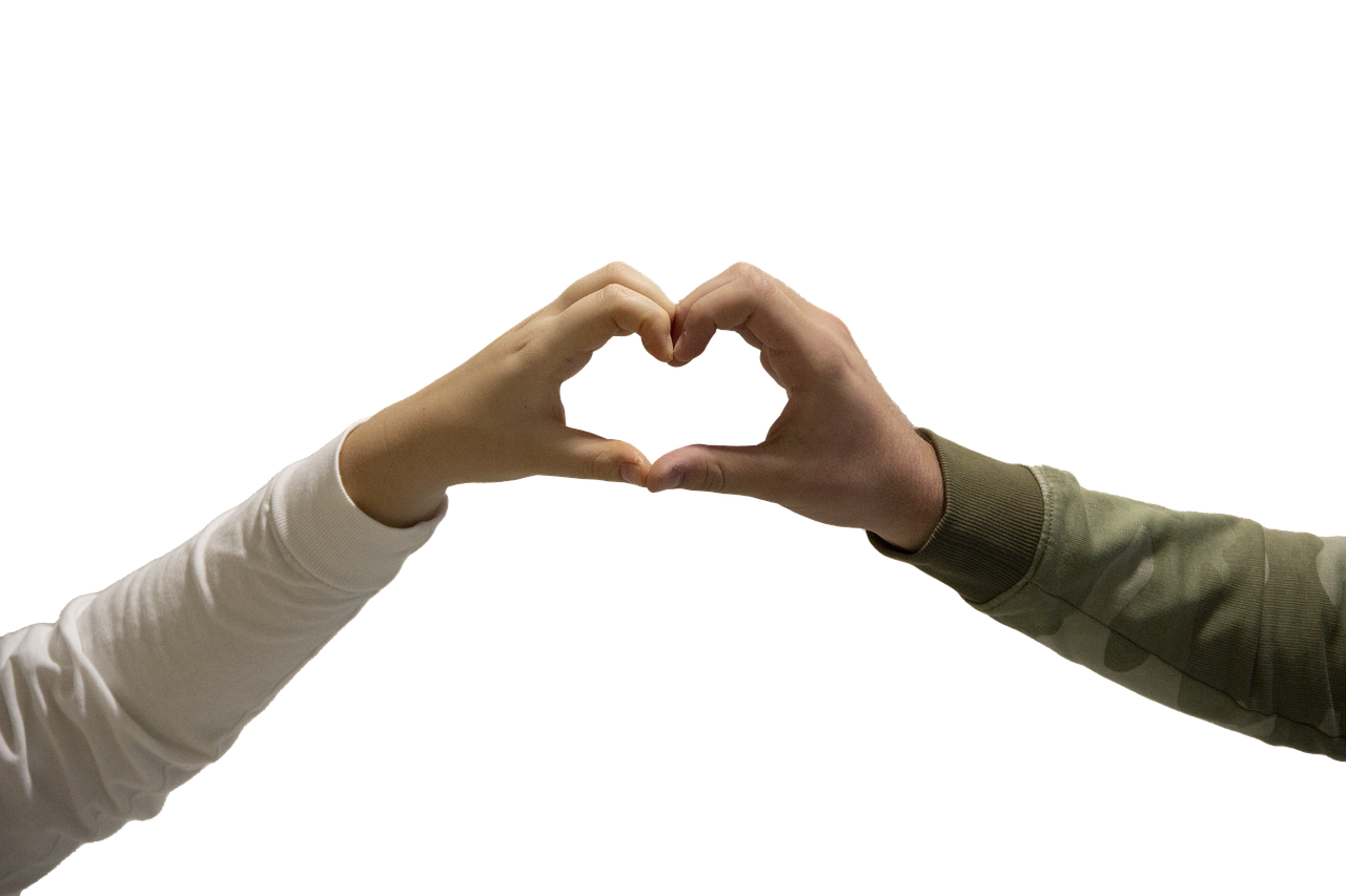 Bulbasaur: The Original Grass-Type Starter