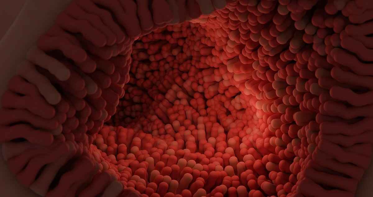 Eevee: The Versatile Evolution Pokémon