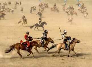 Murkrow Pokémon Best Moves, Strengths, and Competitive Battle Guide Murkrow Pokémon Best Moves, Strengths, and Competitive Battle Guide