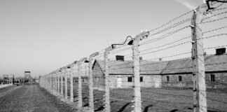 My Braces Hurt So Bad I Want to Cry – Tips for Pain Relief My Braces Hurt So Bad I Want to Cry – Tips for Pain Relief