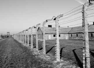 My Braces Hurt So Bad I Want to Cry – Tips for Pain Relief My Braces Hurt So Bad I Want to Cry – Tips for Pain Relief