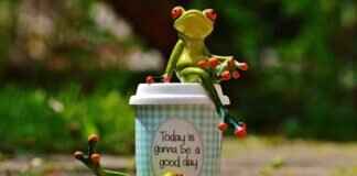 MyDearQuotes.com Quotes Archives: Find the Best Life and Success Quotes MyDearQuotes.com Quotes Archives: Find the Best Life and Success Quotes