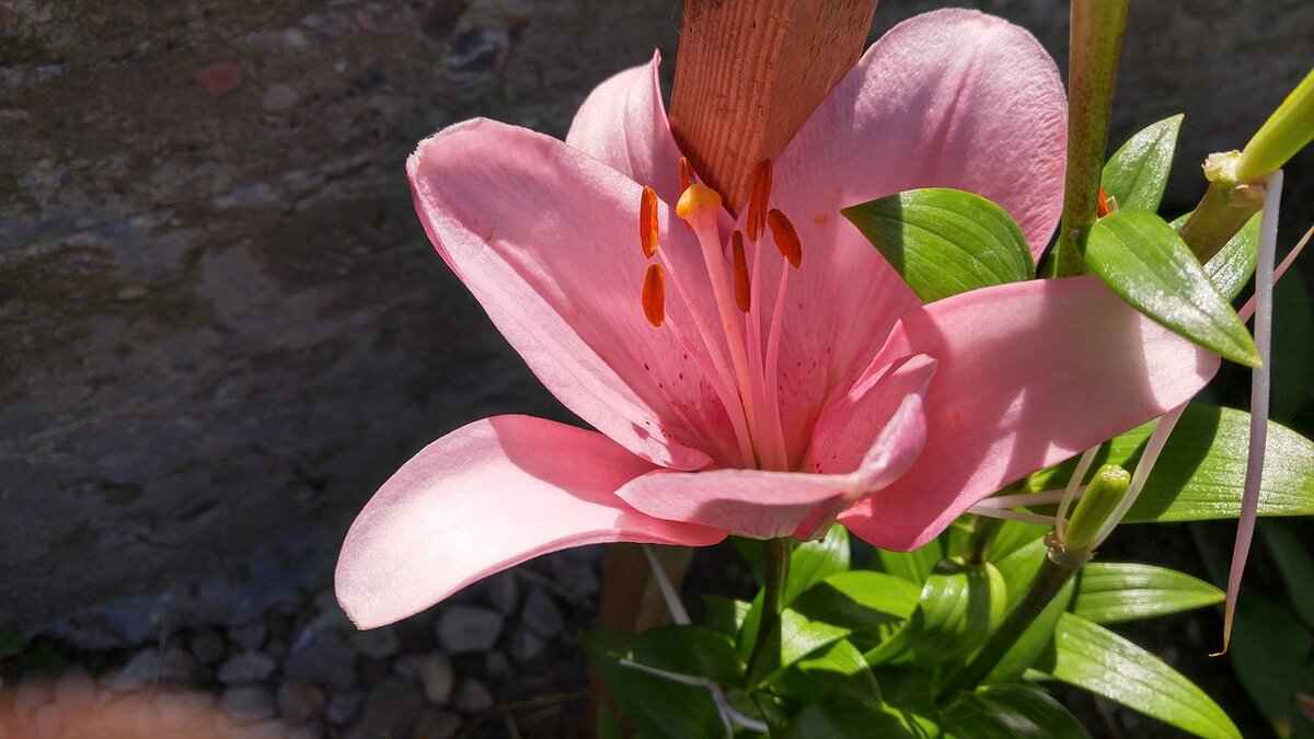 MyDearQuotes.com: The Best Quotes Archive for Daily Inspiration 6 The Role of Quotes in Mental Health