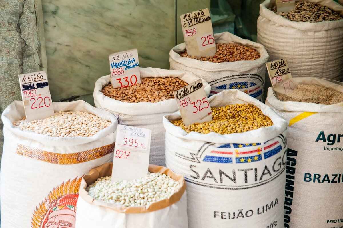 MyFastBroker Stock Brokers: The Best Platforms for Investors 9 Conclusion: Is MyFastBroker Right for You?