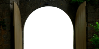 MyPascoConnect: Everything You Need to Know About This Online Portal MyPascoConnect: Everything You Need to Know About This Online Portal