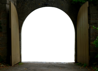 MyPascoConnect: Everything You Need to Know About This Online Portal MyPascoConnect: Everything You Need to Know About This Online Portal