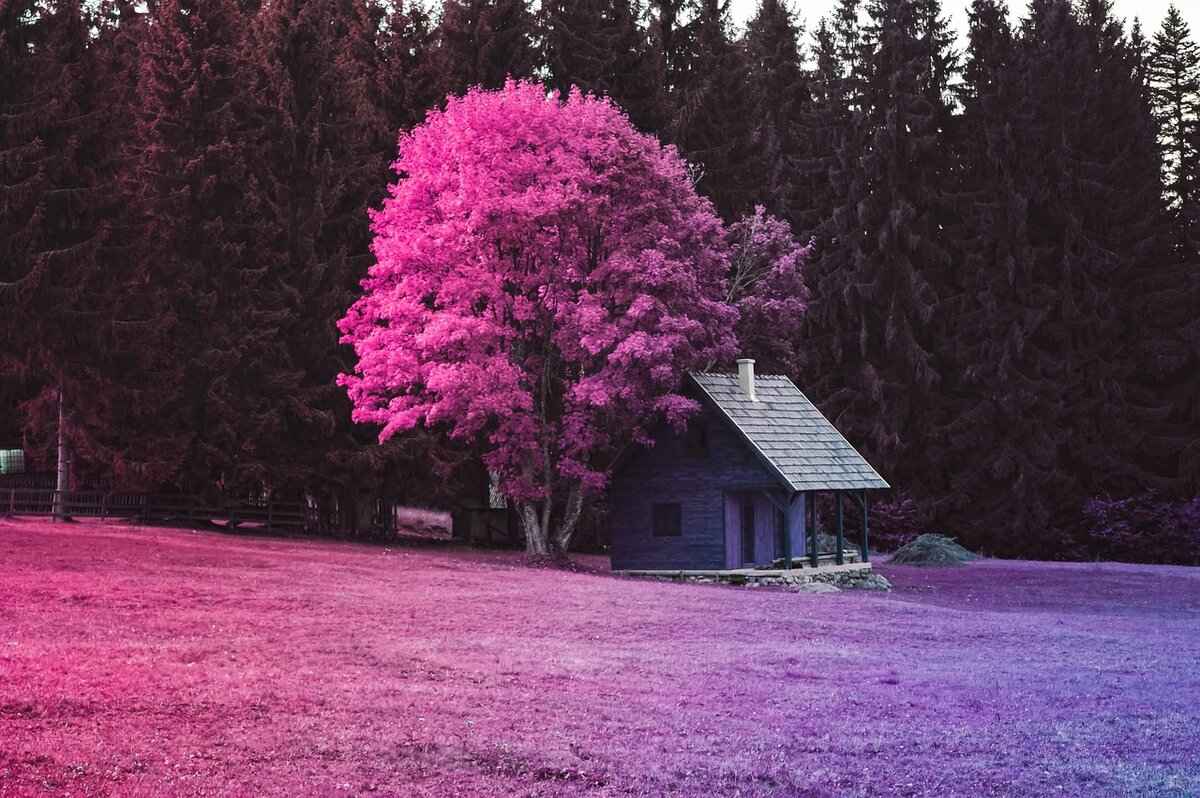 MyWebInsurance.com Home Insurance: Finding the Best Coverage for Your Needs 5 Factors Affecting Home Insurance Premiums