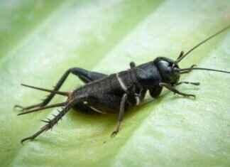 Naked Emma Stone: A Look at Her Boldest and Most Controversial Roles Naked Emma Stone: A Look at Her Boldest and Most Controversial Roles