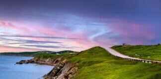 Natu Pokémon Stats, Moveset, Evolution, and How to Use It in Battles Natu Pokémon Stats, Moveset, Evolution, and How to Use It in Battles