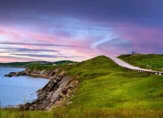 Natu Pokémon Stats, Moveset, Evolution, and How to Use It in Battles Natu Pokémon Stats, Moveset, Evolution, and How to Use It in Battles