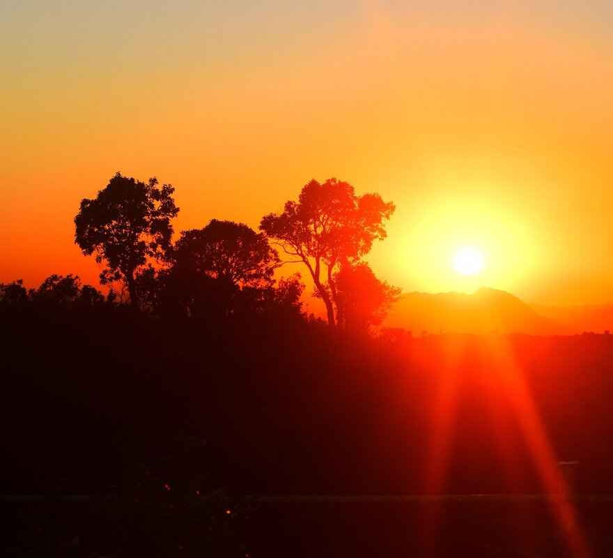 Natu Evolution: How to Evolve Natu into Xatu