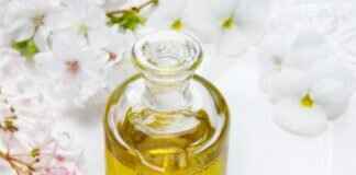 Navigating the Asian Massage Experience: What First-Timers Should Expect Navigating the Asian Massage Experience: What First-Timers Should Expect