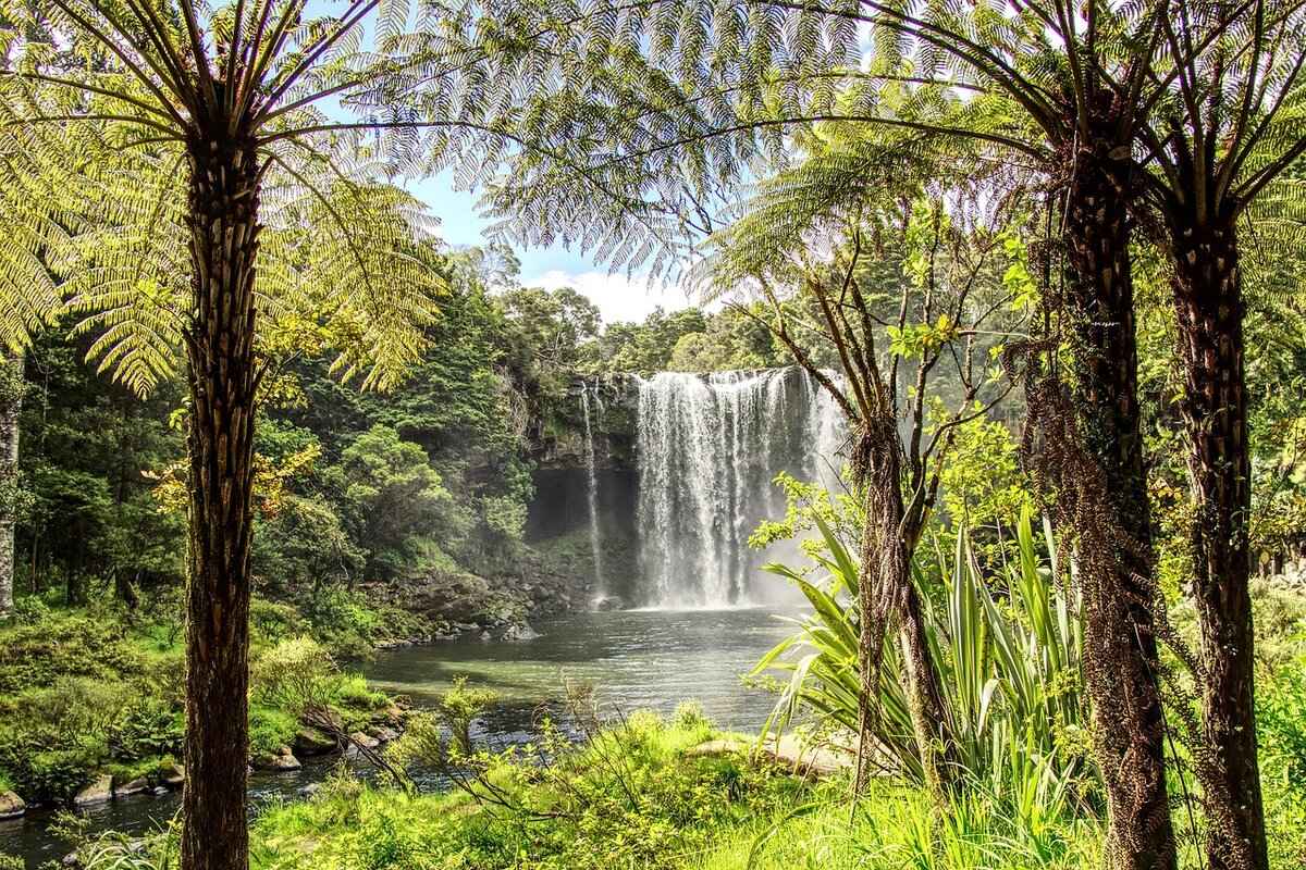 5. Educational Institutions