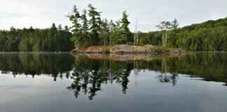 New Windshield Wipers: How to Choose the Right Set for Your Car New Windshield Wipers: How to Choose the Right Set for Your Car