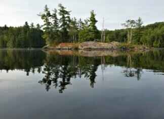 New Windshield Wipers: How to Choose the Right Set for Your Car New Windshield Wipers: How to Choose the Right Set for Your Car