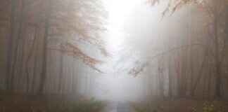 NewzNav.com 8888996650: What You Need to Know About This Mysterious Number NewzNav.com 8888996650: What You Need to Know About This Mysterious Number