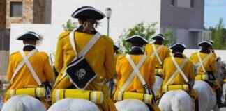 Nidoran♀ Pokémon Competitive Guide: Best Abilities, Moves, and Battle Combos Nidoran♀ Pokémon Competitive Guide: Best Abilities, Moves, and Battle Combos