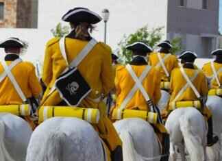 Nidoran♀ Pokémon Competitive Guide: Best Abilities, Moves, and Battle Combos Nidoran♀ Pokémon Competitive Guide: Best Abilities, Moves, and Battle Combos