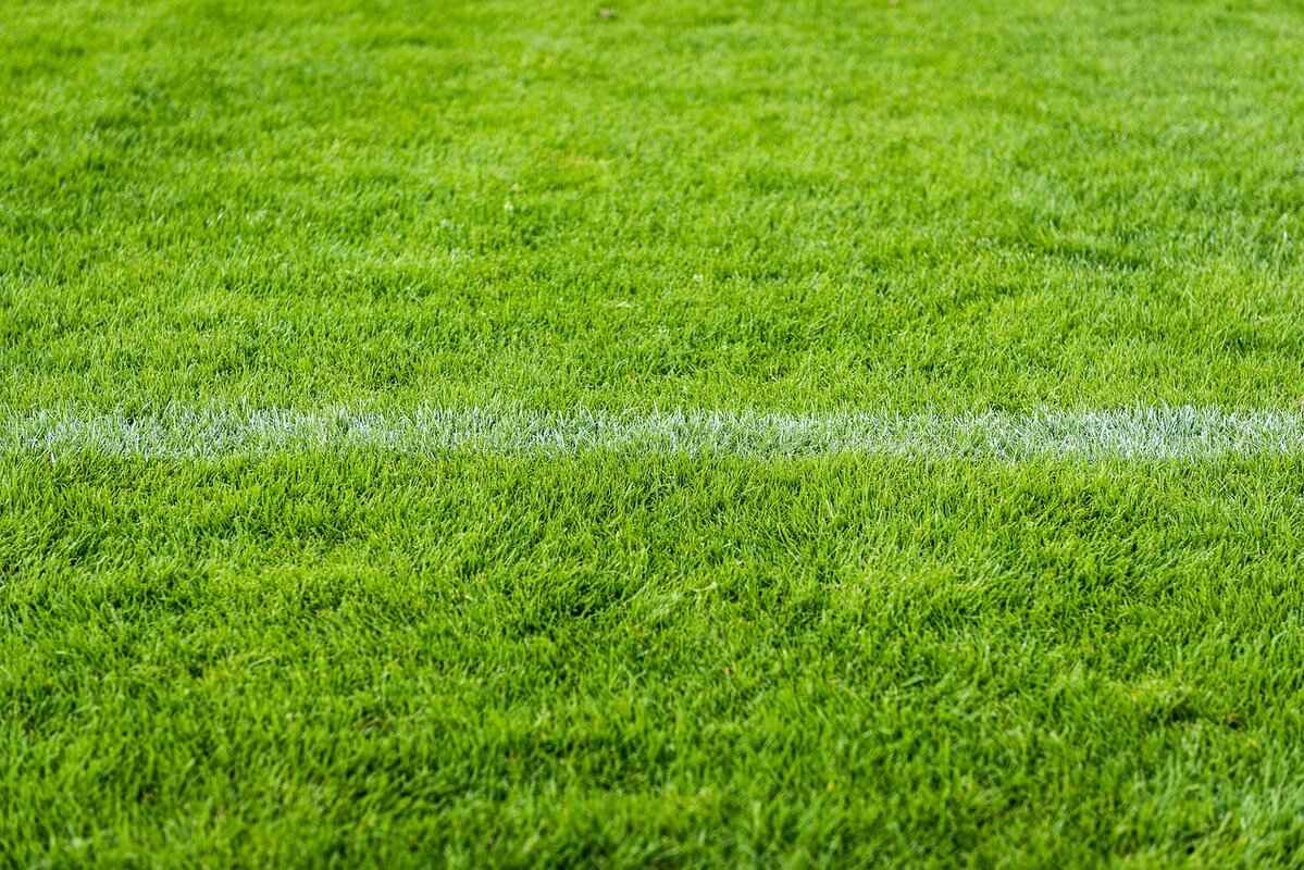 Nike Football Shield: Why Every Player Needs One for Protection 2 Why is Protective Gear Important in Football?