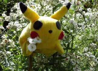 Ninjask Pokémon Features, Abilities, Strengths, Weaknesses, and Best Battle Strategies Ninjask Pokémon Features, Abilities, Strengths, Weaknesses, and Best Battle Strategies