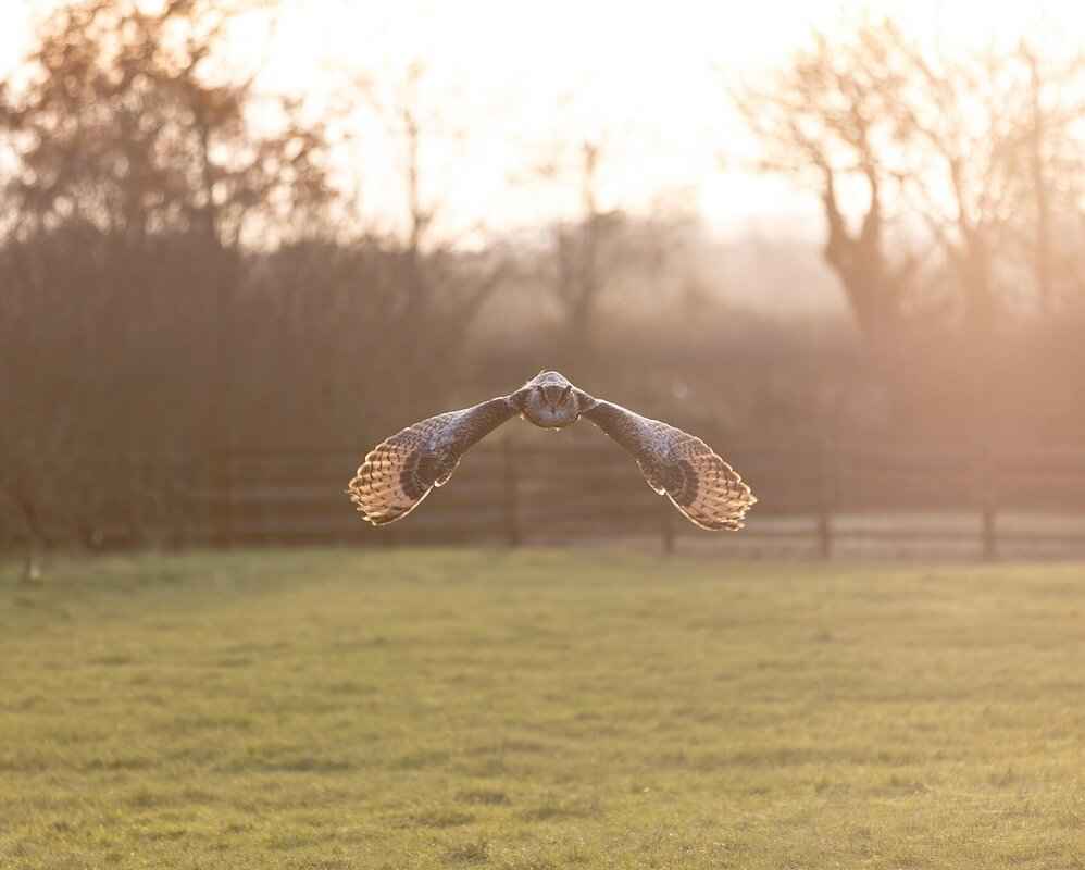 Northern Thai Cuisine: Khao Soi, Sai Ua, and Other Delicacies 2 How to Prepare Khao Soi at Home?